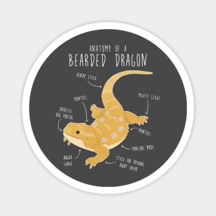 Anatomy of a Bearded Dragon Magnet